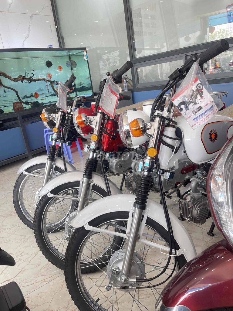 Xe m 2025 - ảnh 2
