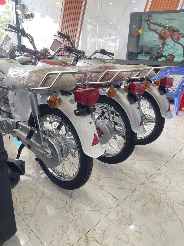 Xe m 2025 - ảnh 4