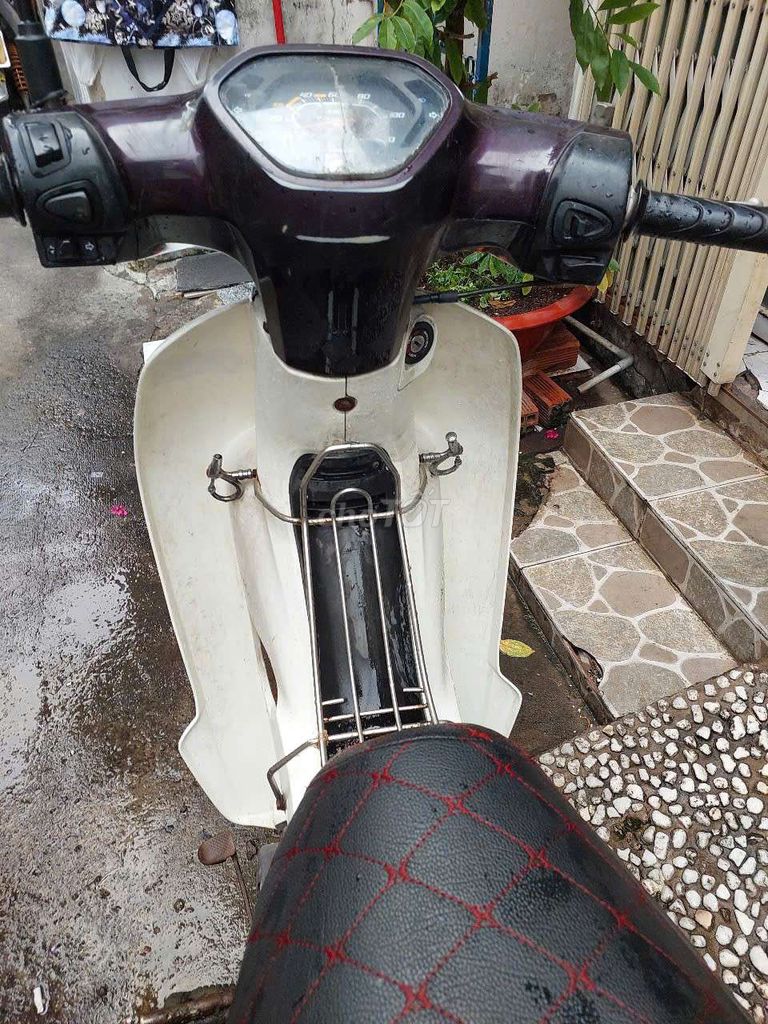 Honda Dream 2013 - ảnh 1