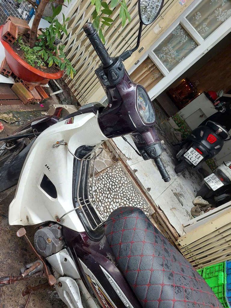 Honda Dream 2013 - ảnh 4