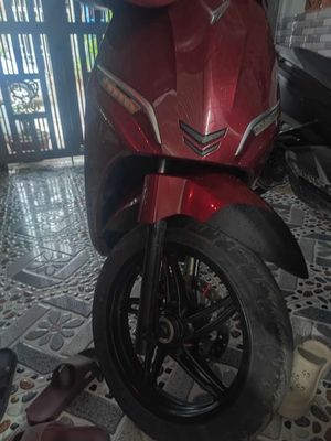 Xe m 2022 - ảnh 1