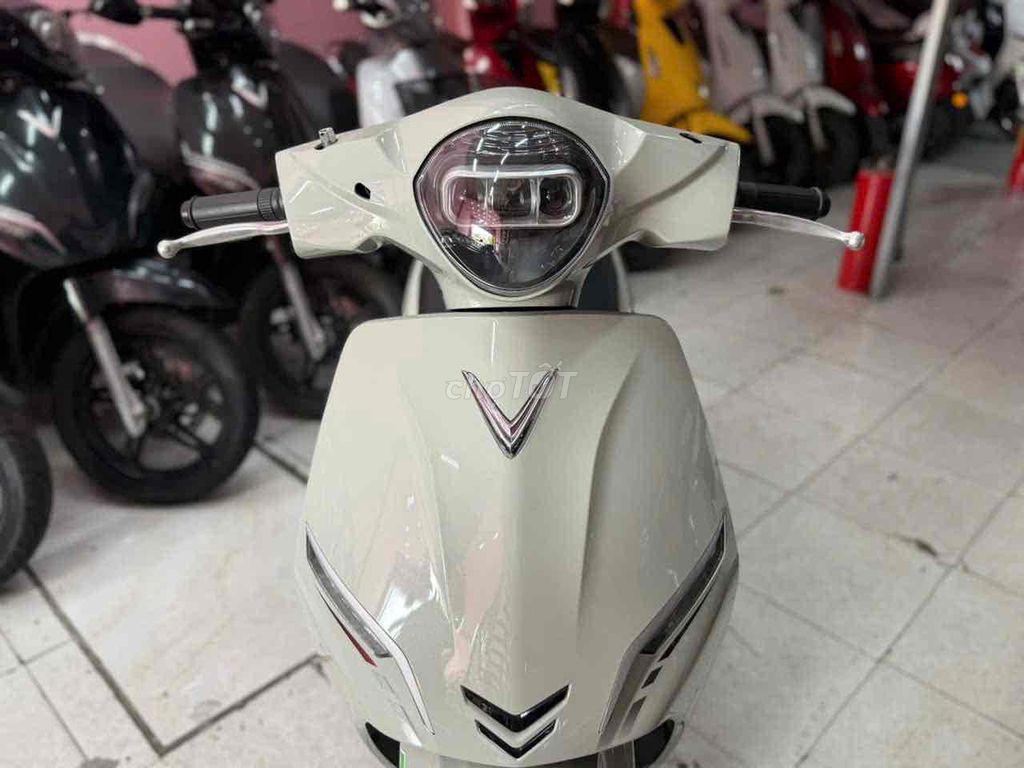 VinFast 2025 - ảnh 1