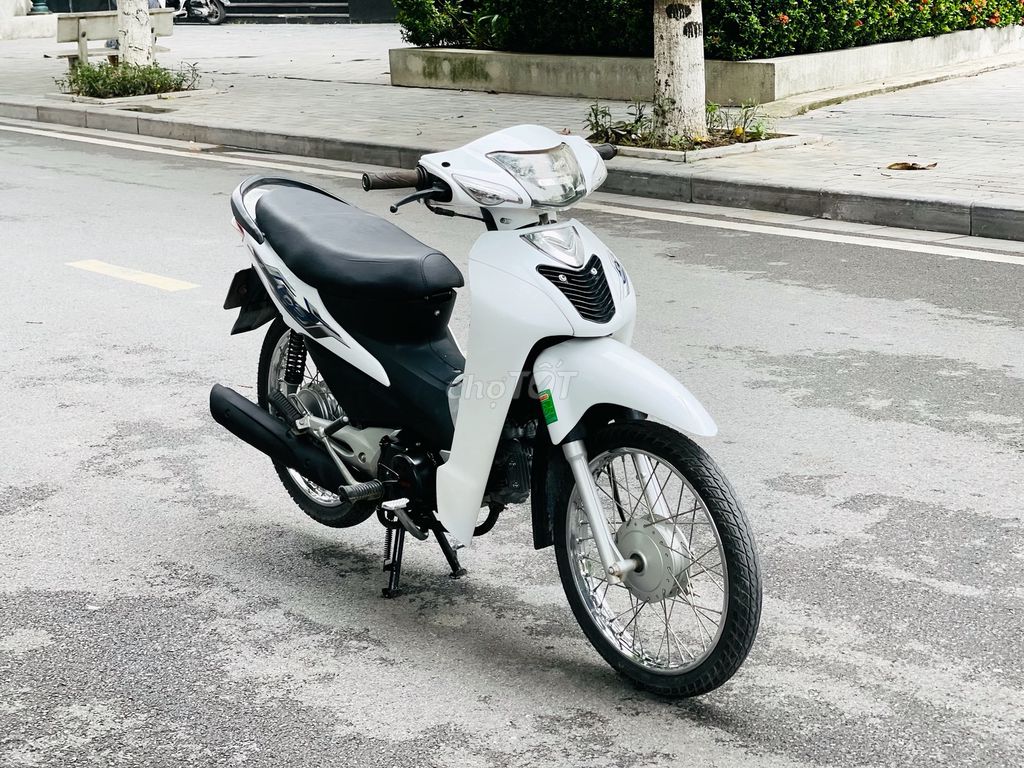 Wave 2024 - ảnh 1