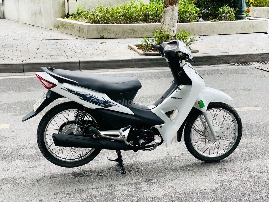Wave 2024 - ảnh 3