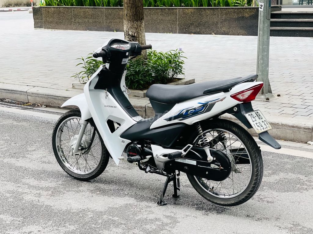 Wave 2024 - ảnh 4