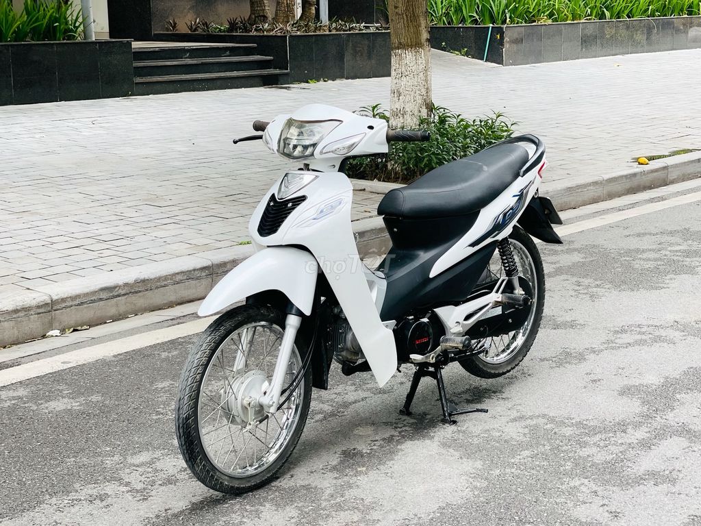 Wave 2024 - ảnh 5