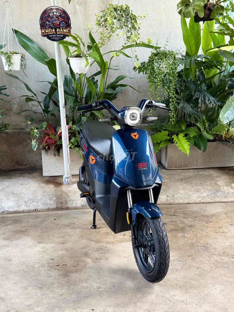 Xe m 2025 - ảnh 1