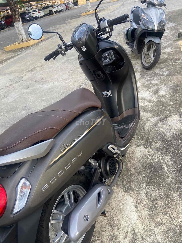 Honda Scoopy 2023 - ảnh 3