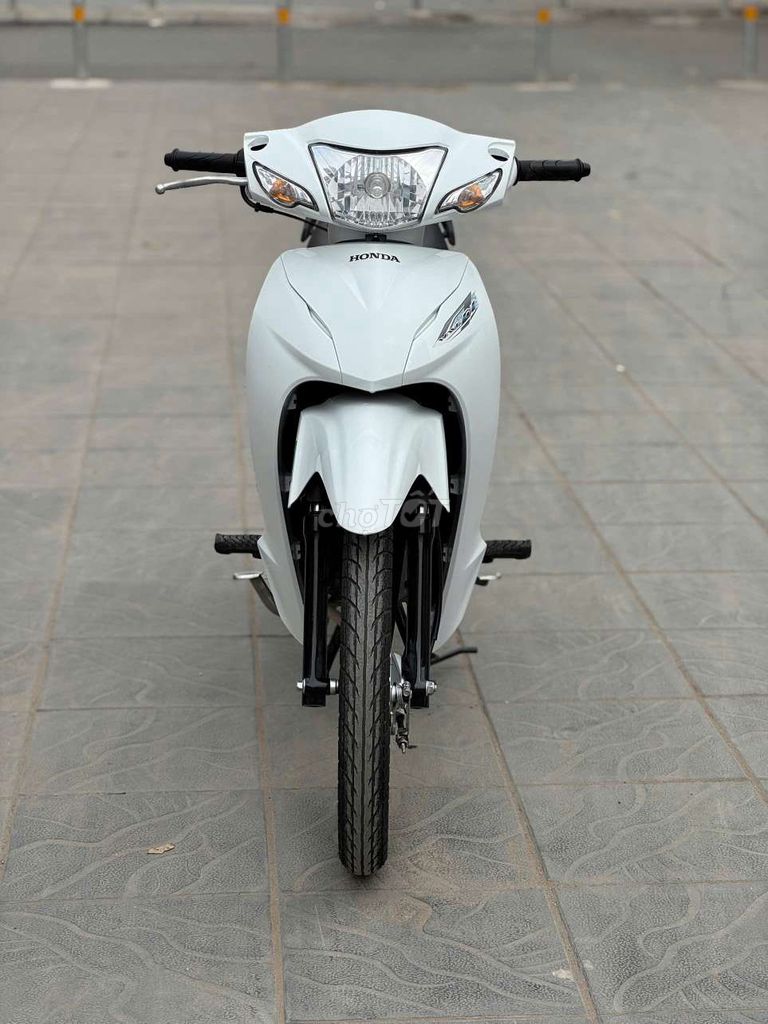 Honda Wave 2024 - ảnh 3