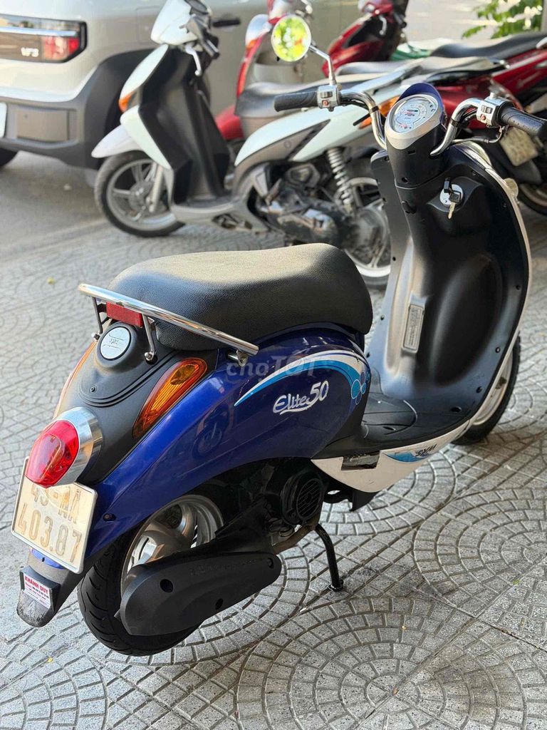elite 2013 - ảnh 5