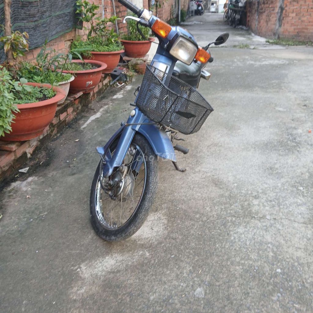 Honda Cub 1982 - ảnh 1