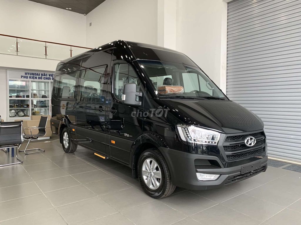Hyundai Solati - ảnh 1