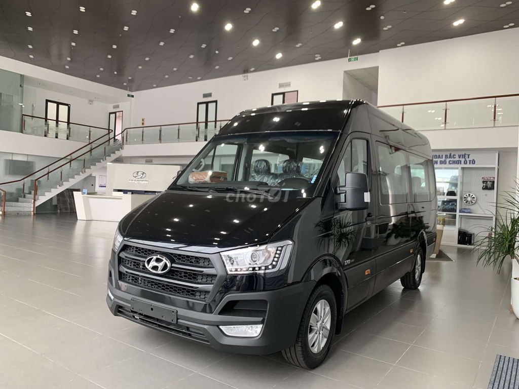 Hyundai Solati - ảnh 2