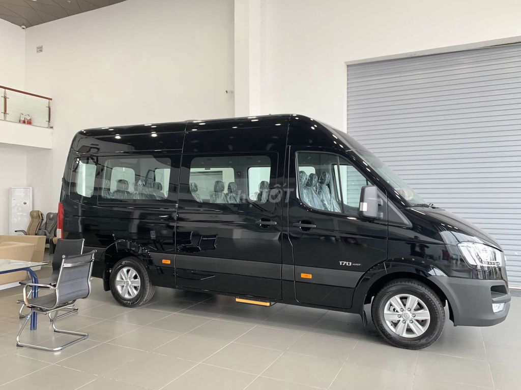 Hyundai Solati - ảnh 3