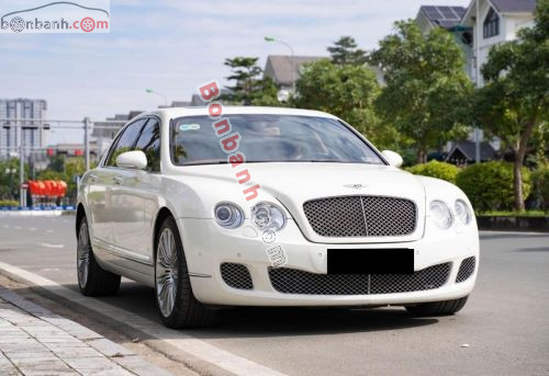 Bentley 2007 - ảnh 2