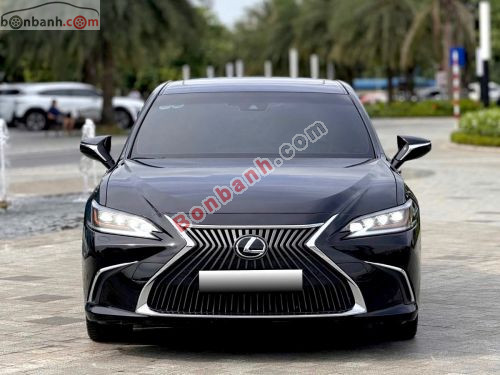 Lexus ES 250 2020 - ảnh 1