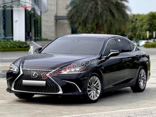 Lexus ES 250 2020 - ảnh 2