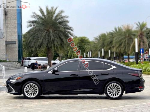 Lexus ES 250 2020 - ảnh 3