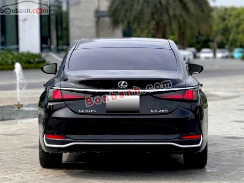 Lexus ES 250 2020 - ảnh 4