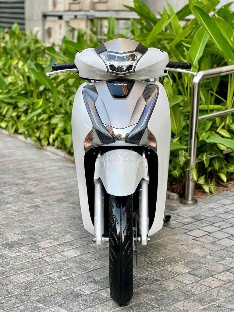 Honda SH 2019 - ảnh 1