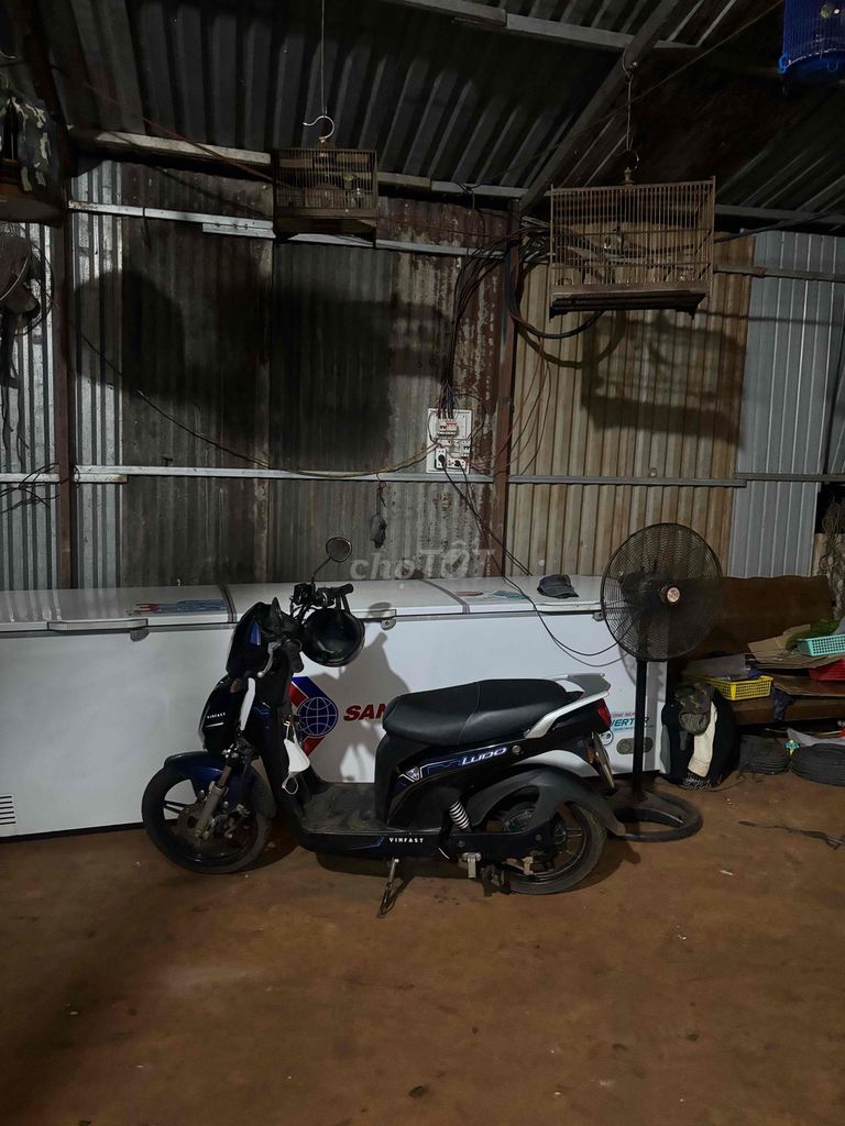 Xe m 2019 - ảnh 3