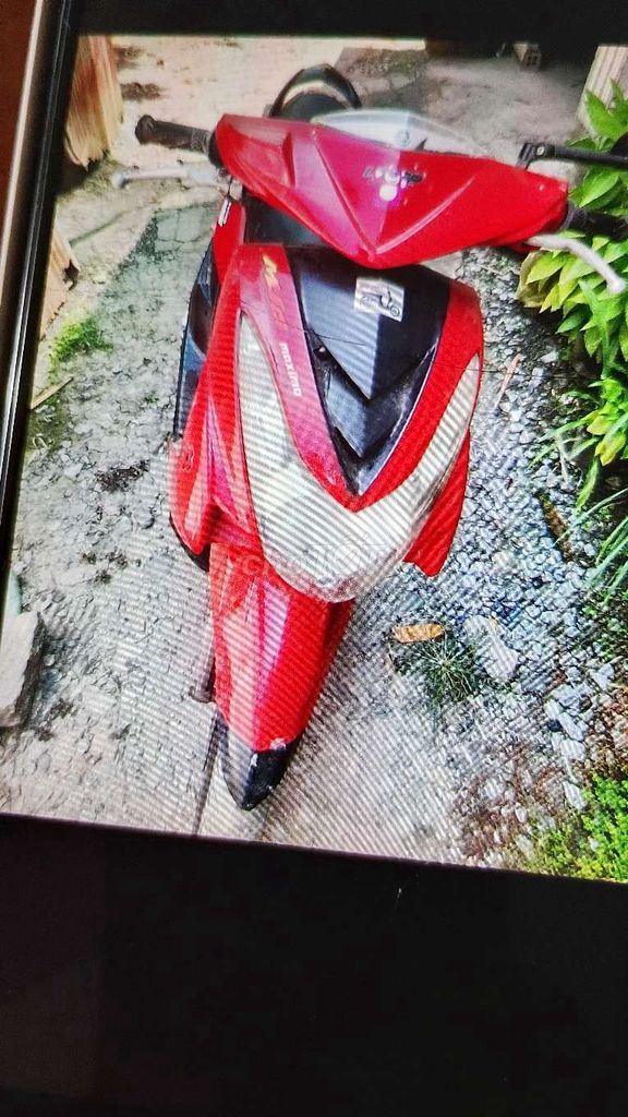 Yamaha Mio 2009 - ảnh 2