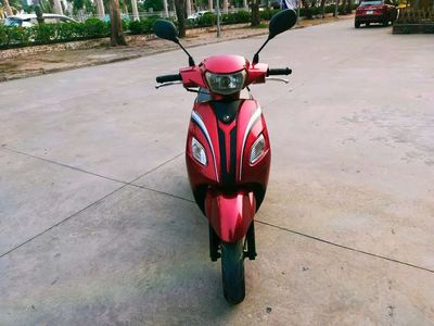 Xe tay 2021 - ảnh 1