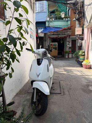 Xe VinFast 2026 - ảnh 1