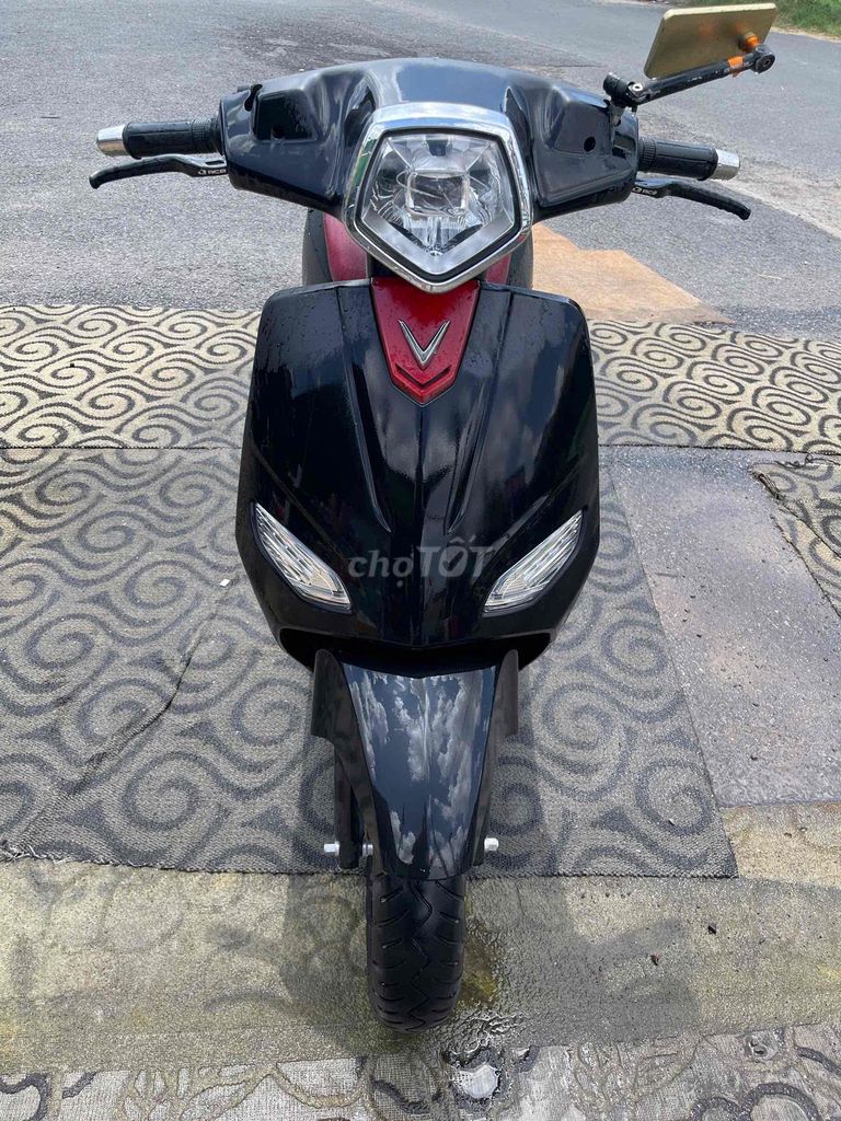 Xe m 2025 - ảnh 1