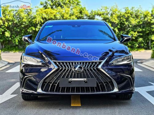 Lexus ES 250 2022 - ảnh 1