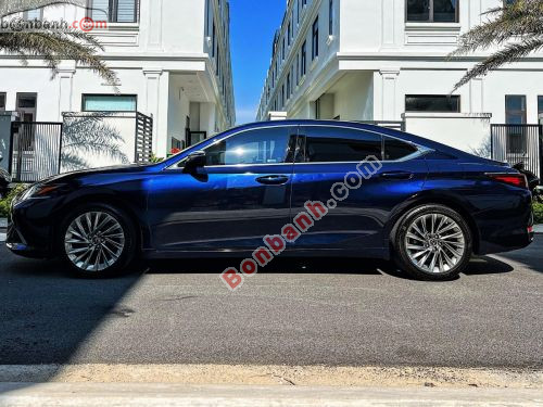 Lexus ES 250 2022 - ảnh 3