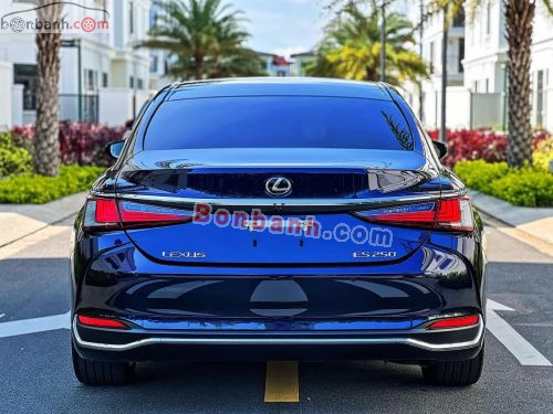 Lexus ES 250 2022 - ảnh 5