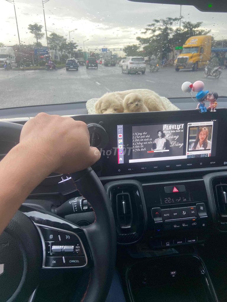 Kia Sonet - ảnh 3