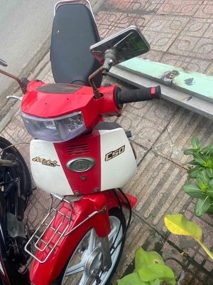 Kawasaki CSD 2010 - ảnh 1