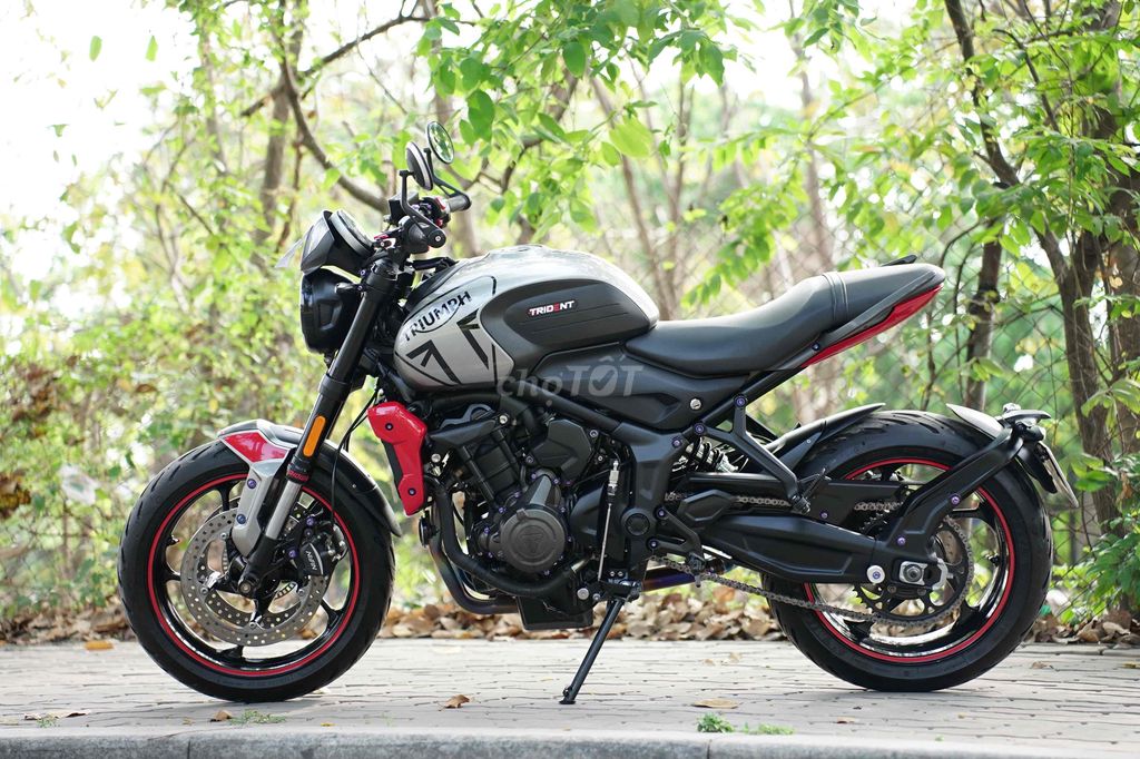 Triumph - ảnh 1