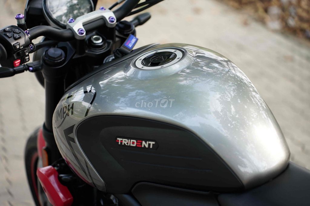 Triumph - ảnh 3