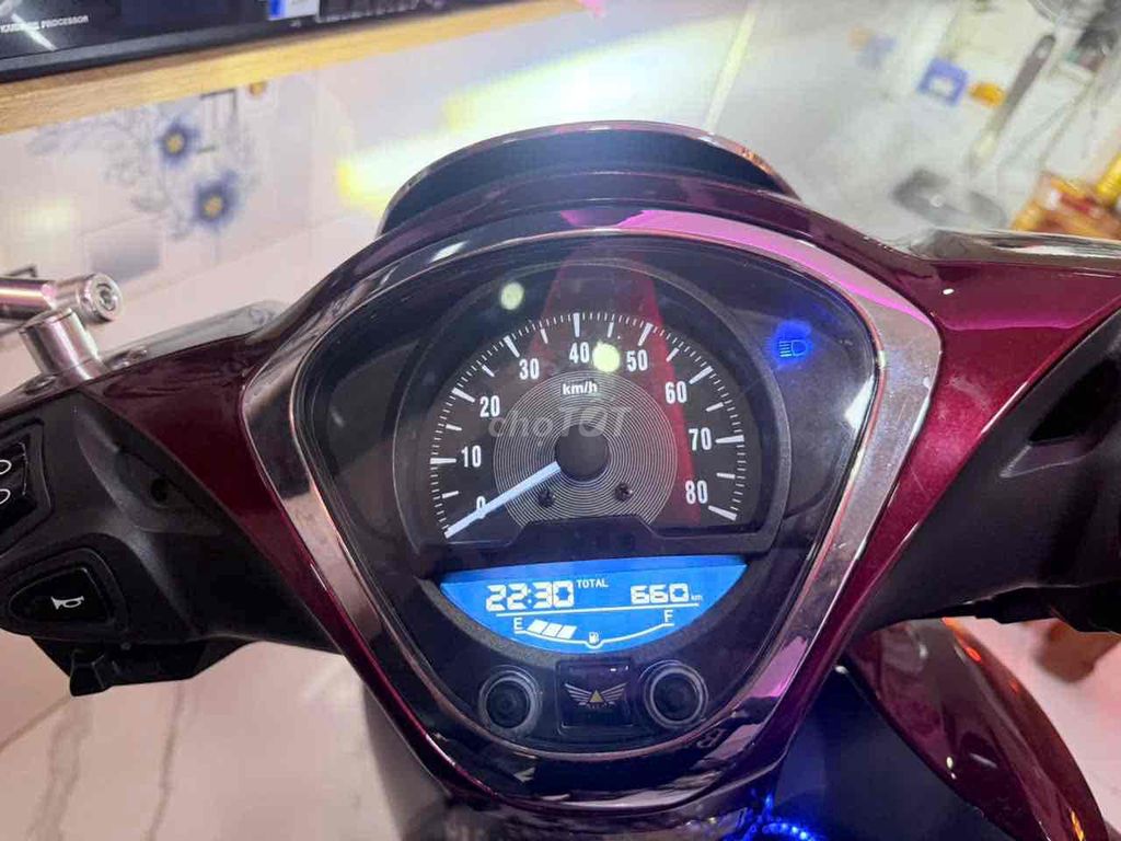 Ally SV 2026 - ảnh 2