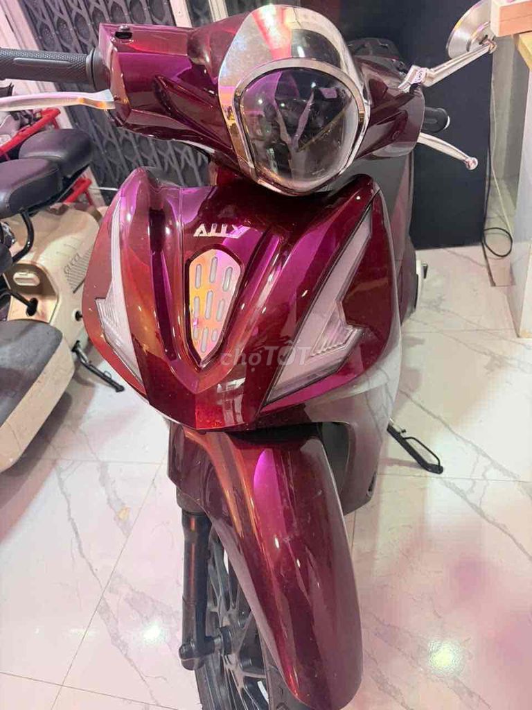Ally SV 2026 - ảnh 3