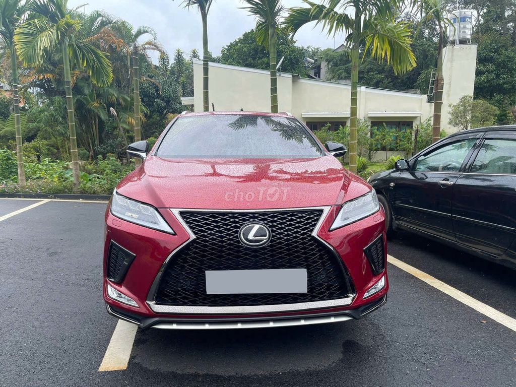 Lexus RX 300 2022 - ảnh 1