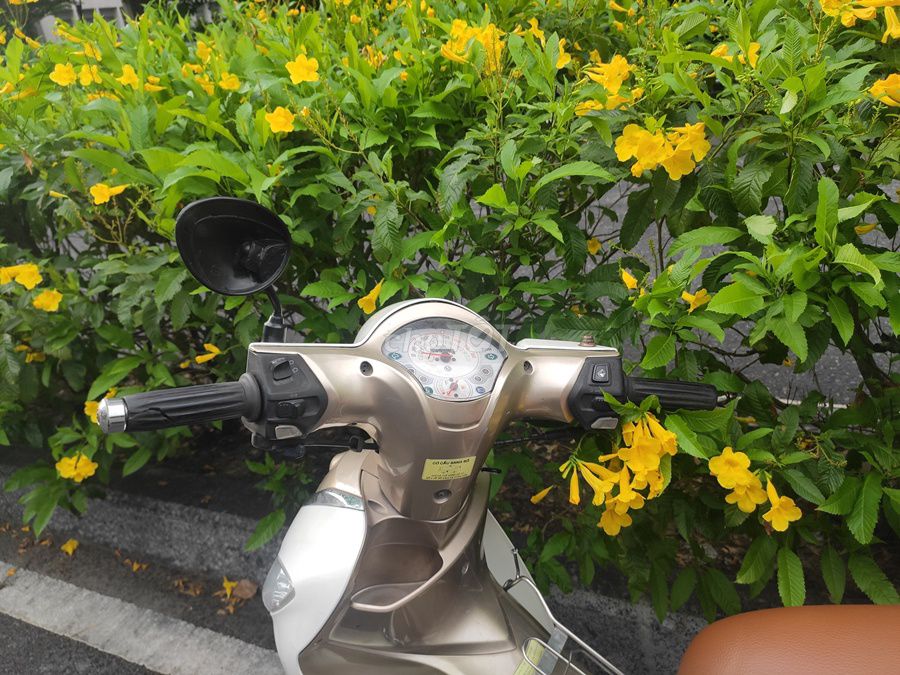 Sym Angela 2018 - ảnh 3