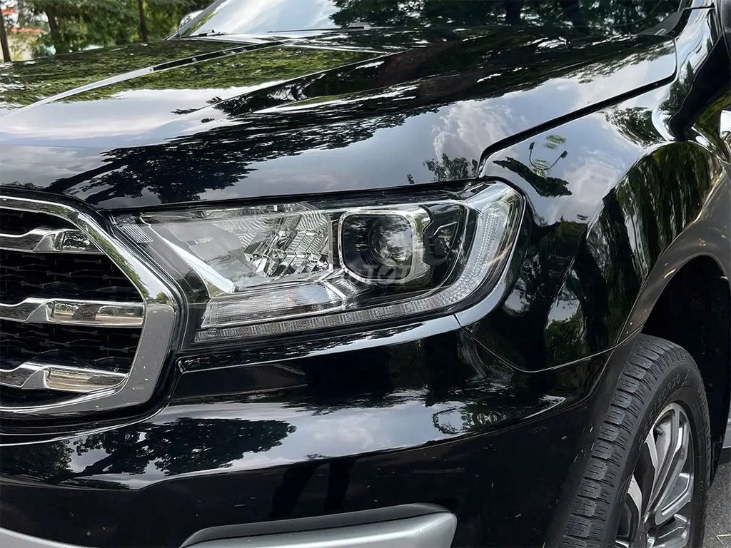 Ford 2020 - ảnh 4