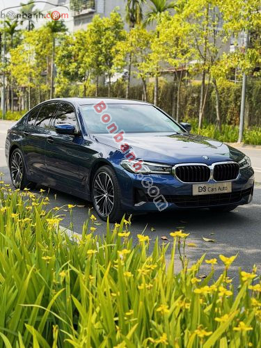 BMW 5 Series 520i 2022 - ảnh 3