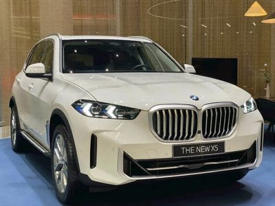 BMW X5 xDrive40i xLine 2024 - ảnh 1