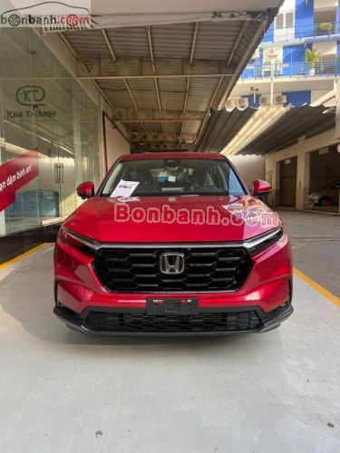 Honda CRV L 2026 - ảnh 1