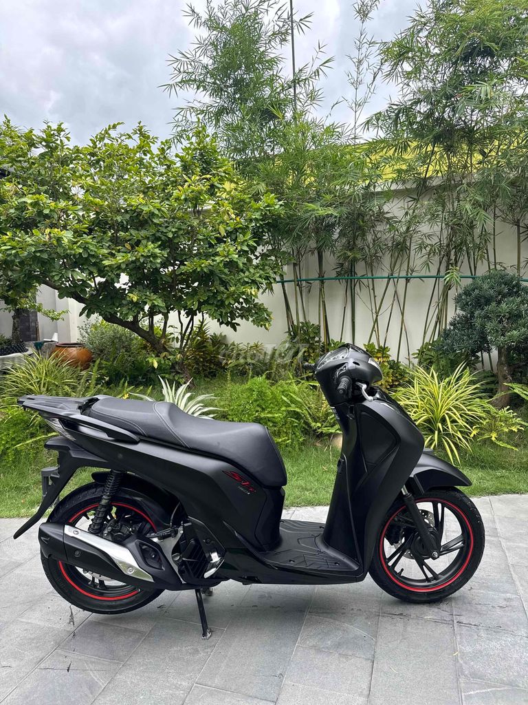 SH 2019 - ảnh 4