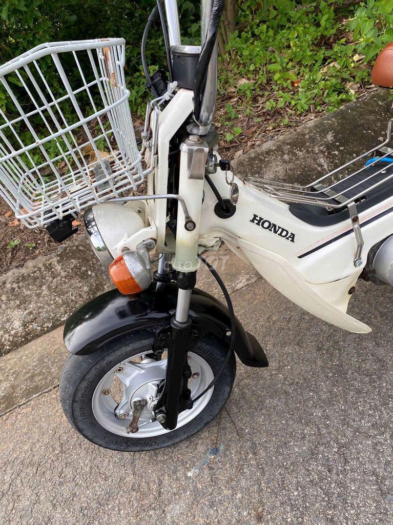 Honda Chaly 1990 - ảnh 4