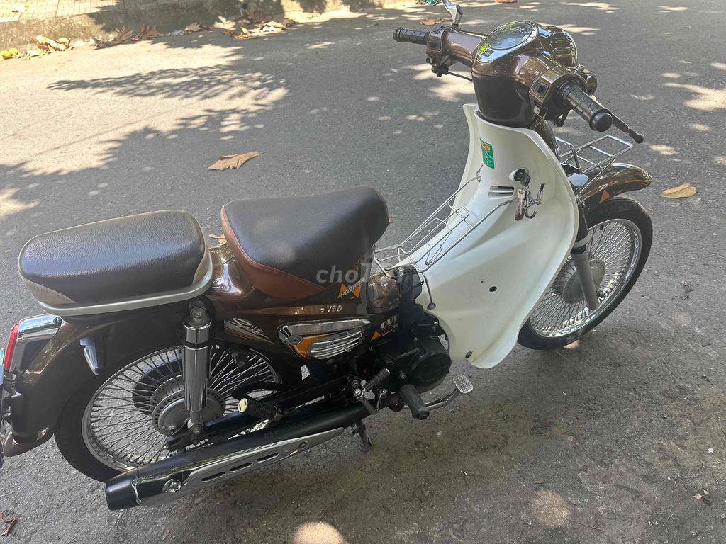 Cub Cub 2022 - ảnh 3