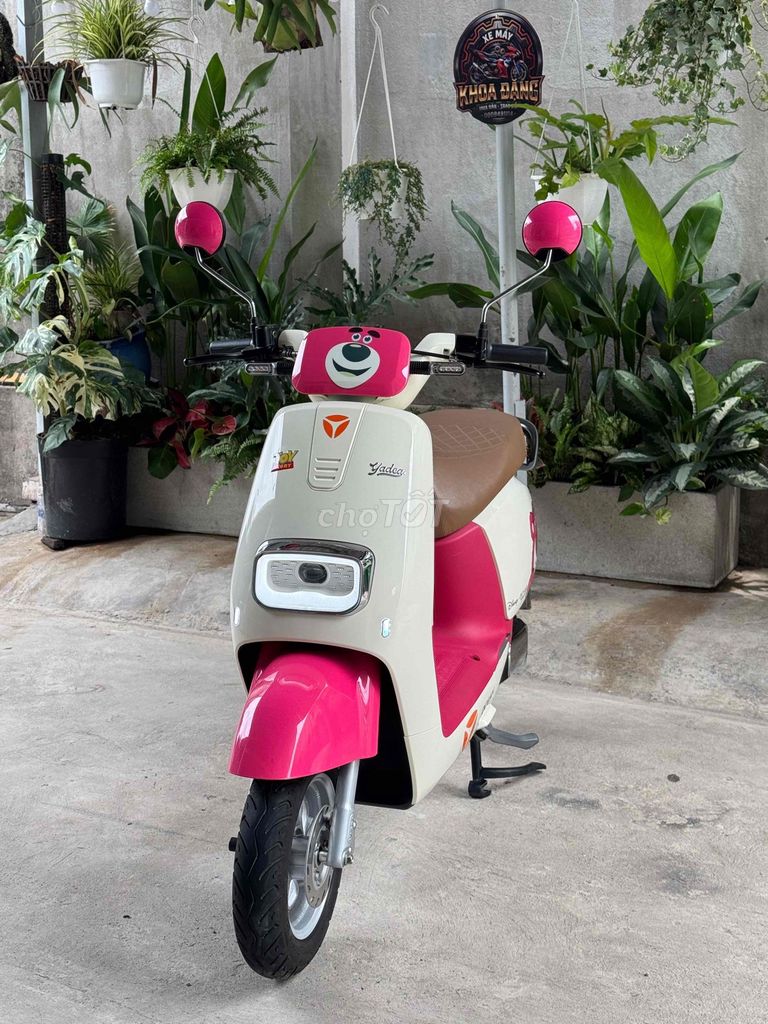 Xe m 2024 - ảnh 2