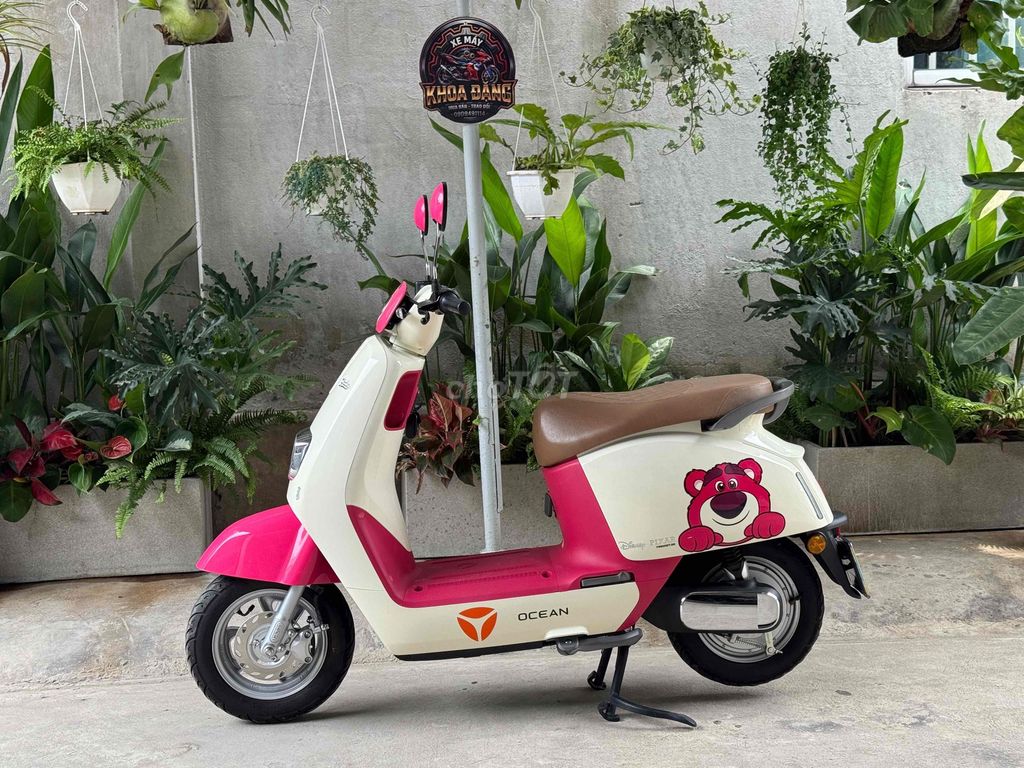 Xe m 2024 - ảnh 3