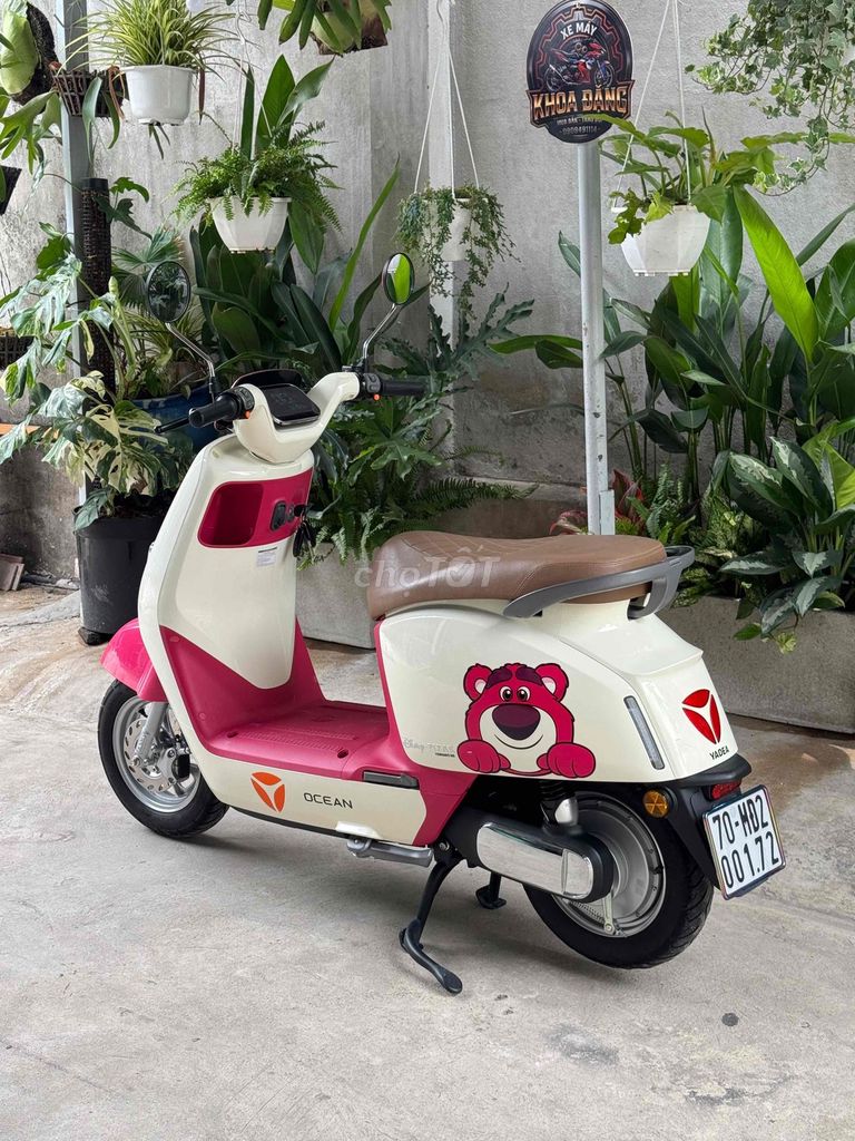 Xe m 2024 - ảnh 5